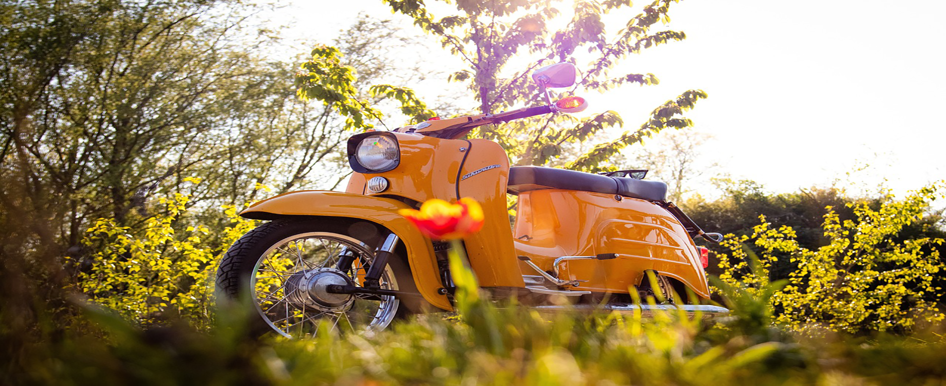 GardenZone, TsabyMotors