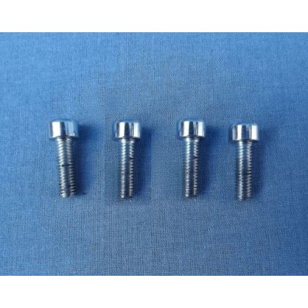 Berántó rögzítő csavar Riwall RPCS5140 set láncfűrészhez /B/
