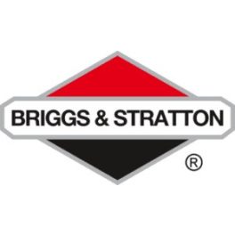 Briggs gyújtógyertya
